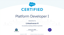 Platform Developer I